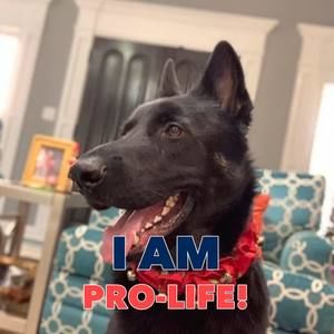 Meet your Posher, Connor